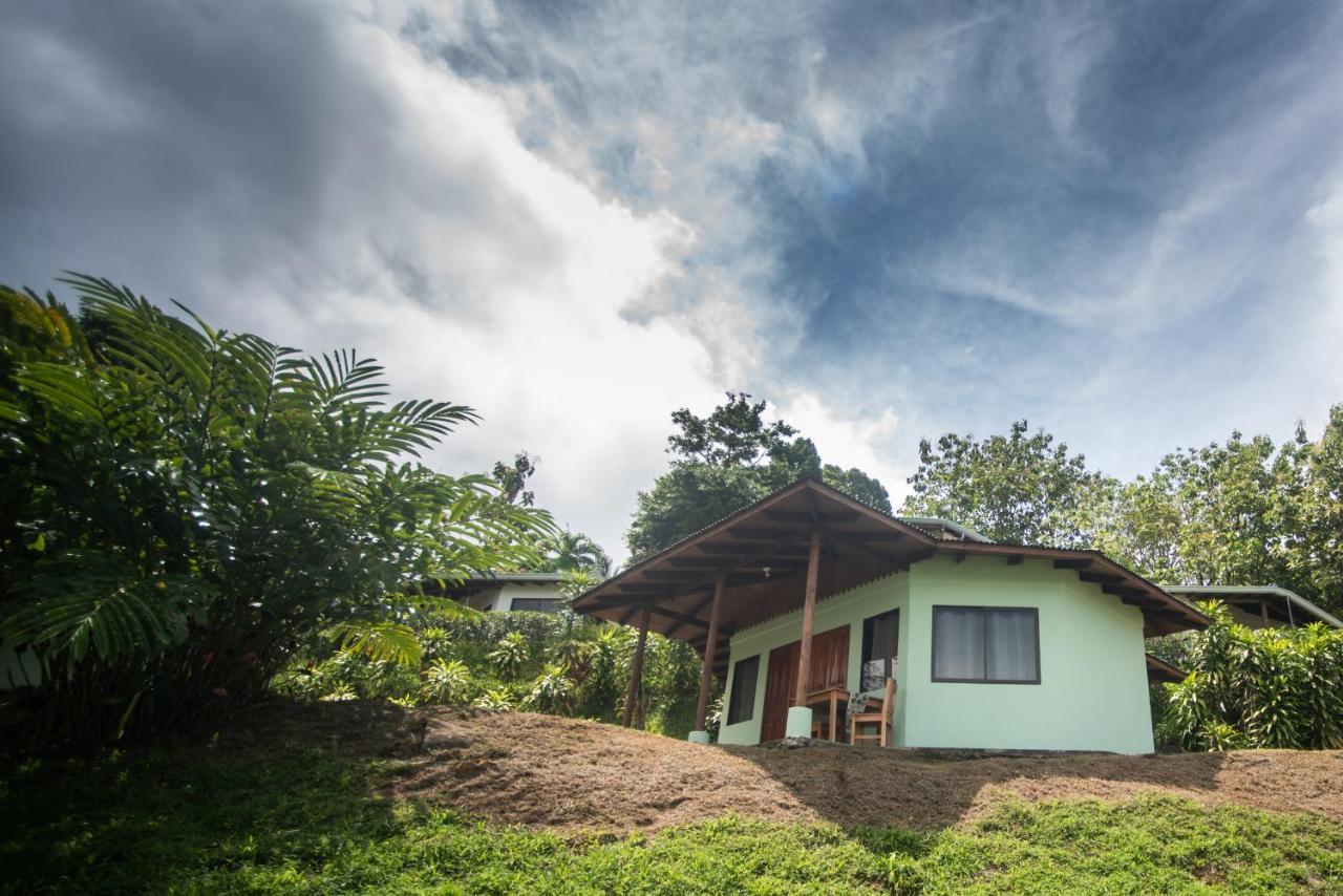 Ballena Paraiso Lodge Uvita Exterior photo